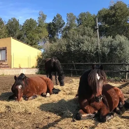 Cal Murenu Rural Torrellas de Foix