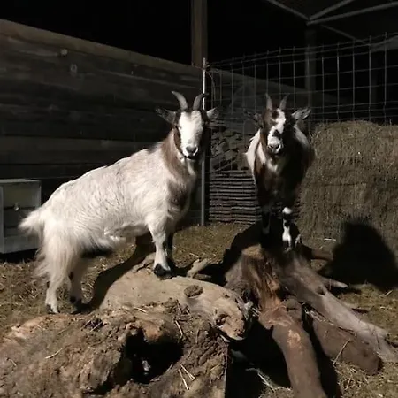 Cal Murenu Rural *
