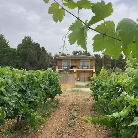 Apartment Cal Murenu Rural *